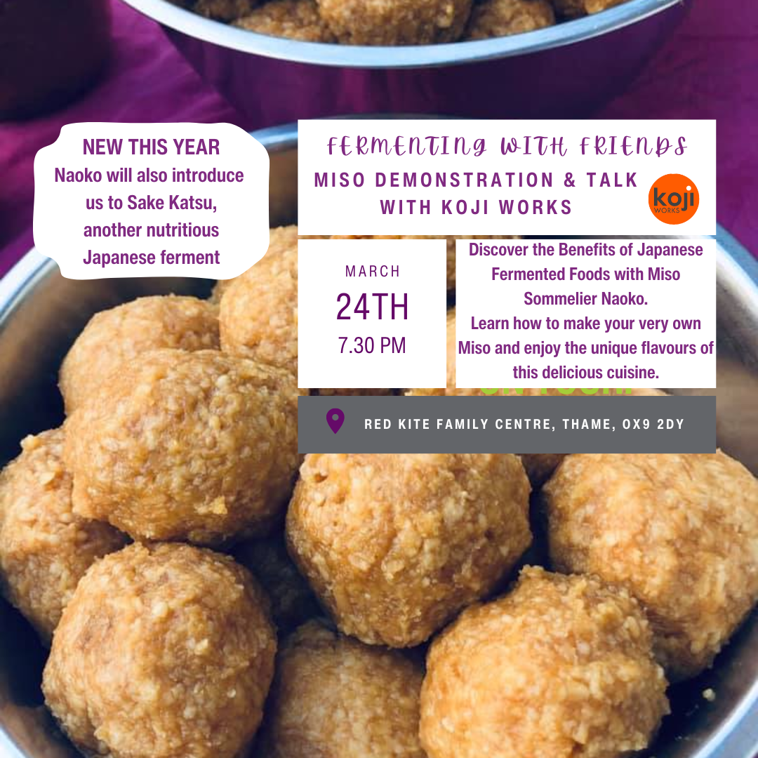 Japanese Fermented Food