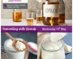 Fermenting with Friends