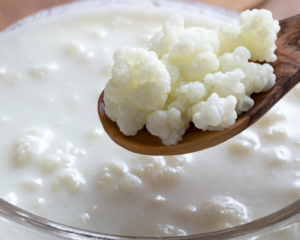 Kefir with Kefir Grains